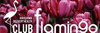 CLUB flamingo(���TOP�𑖂葱����ŏ�̸��è����M���ɋɏ�����ް�ł��͂����܂��)
