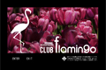 CLUB flamingo(常にTOPを走り続ける最上のｸｵﾘﾃｨｰを貴方に極上のﾒﾝﾊﾞｰでお届けします｡)オフィシャルホームページ