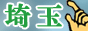 埼玉風俗情報