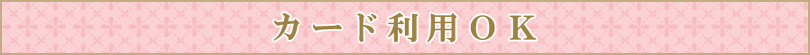カード利用OK