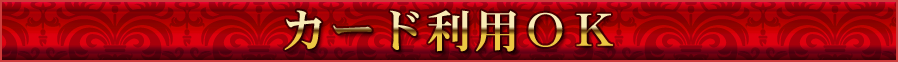 カード利用OK