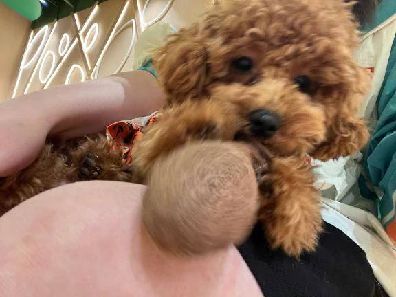 癒し♡♡
