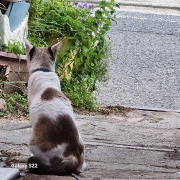 こんばんは