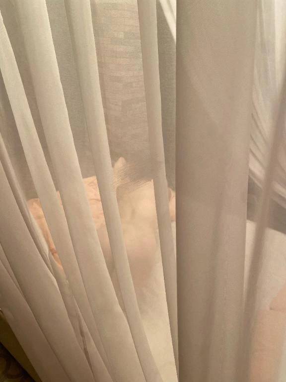 八丁堀んとこで買ったよ🤭