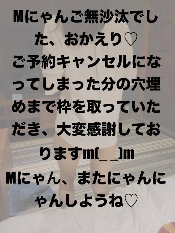 10日Mにゃへお礼のお便り