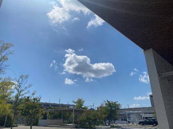 おやすみ