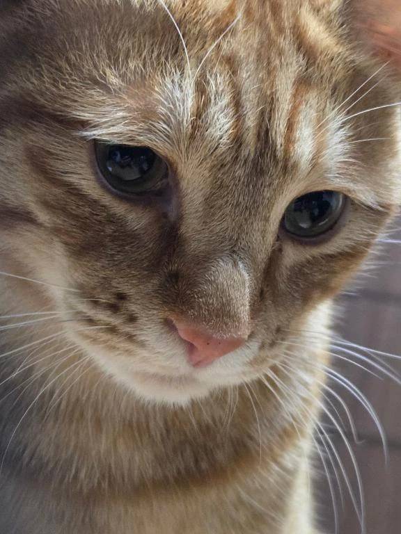 １月のお礼です