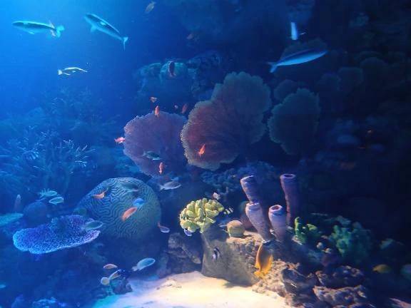 今日もありがとうございました♡