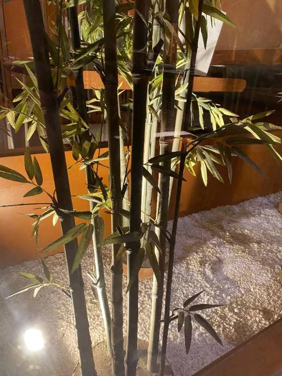 本日 新山口の K様