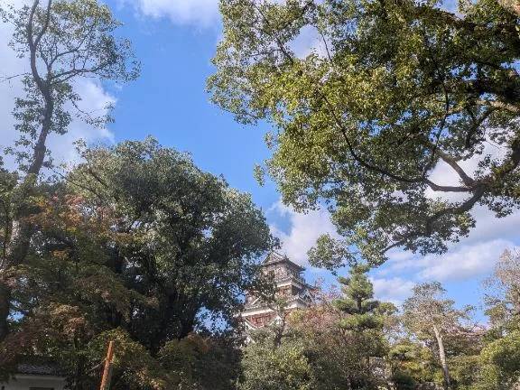 閉城する前に！