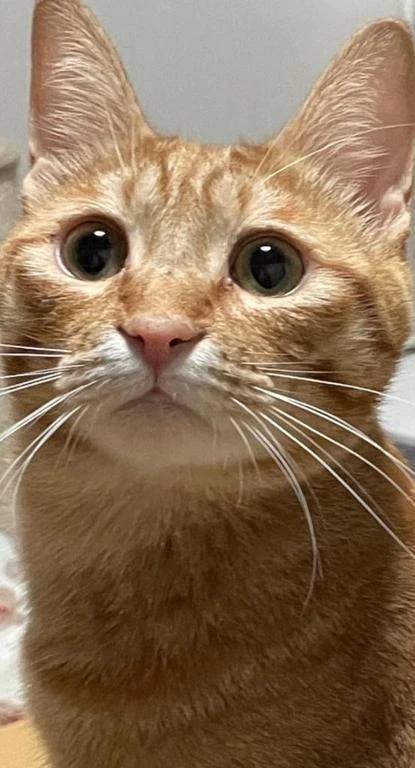 １１月のお礼です