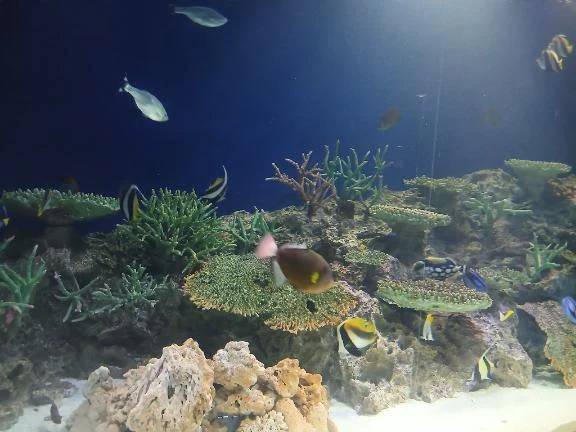 おやすみなさい🌙