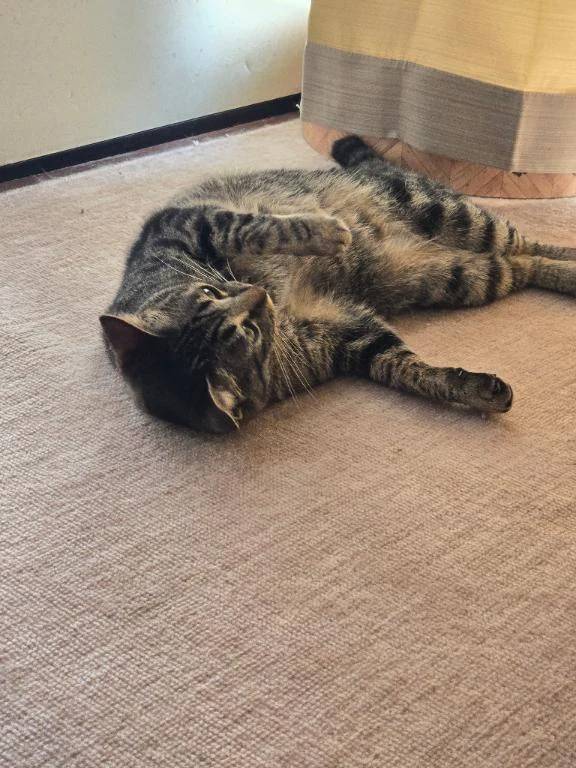 今月も…