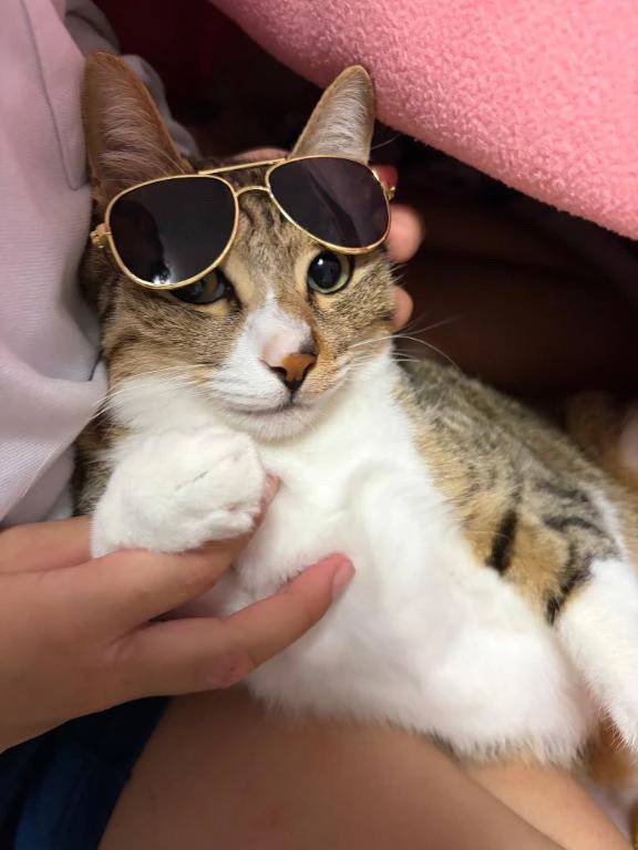 無理しないようにね✨