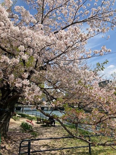 今年度の抱負！？