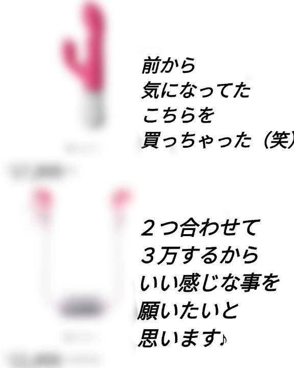 買っちゃった(笑)