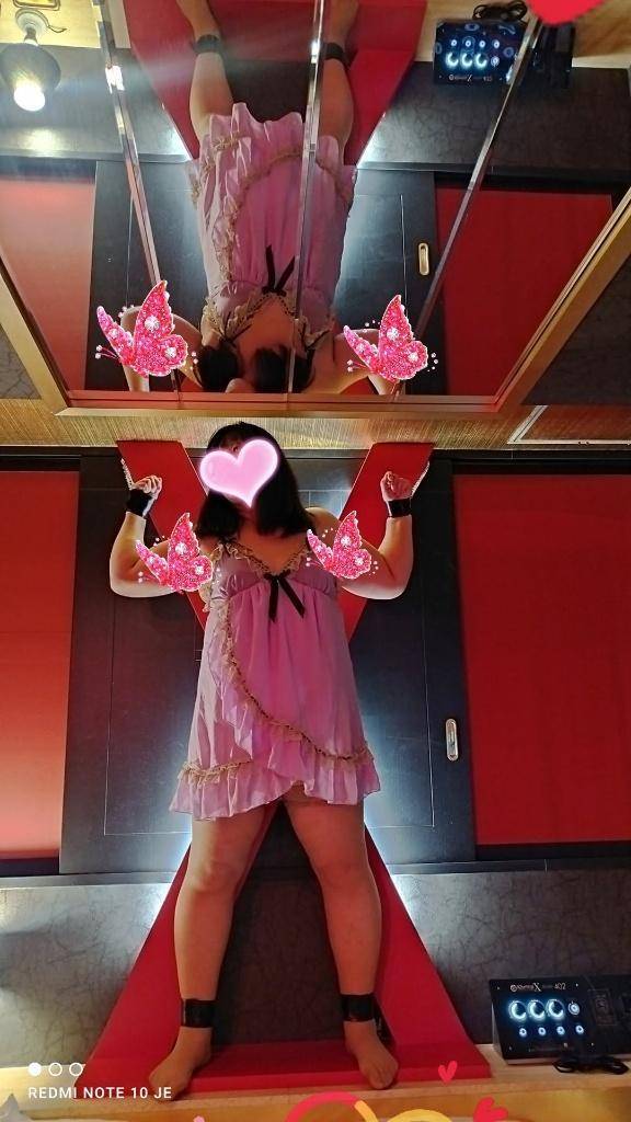 来週以降の予定です