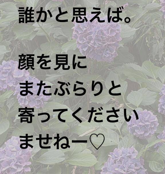 7/12 Tさんへお礼のお便り