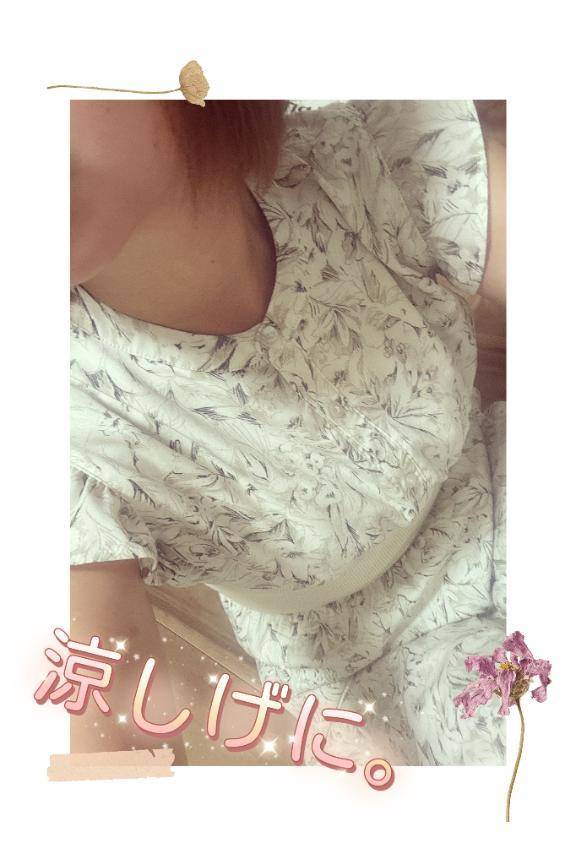 今日の服