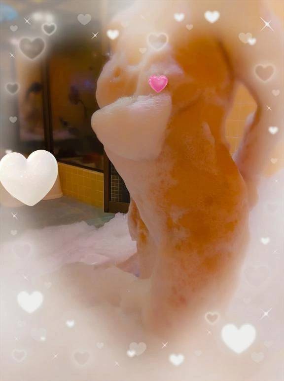 Ｓ様♪