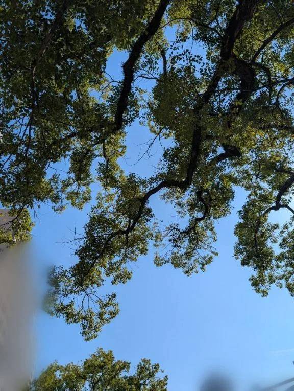 身体に染み渡る１杯＊