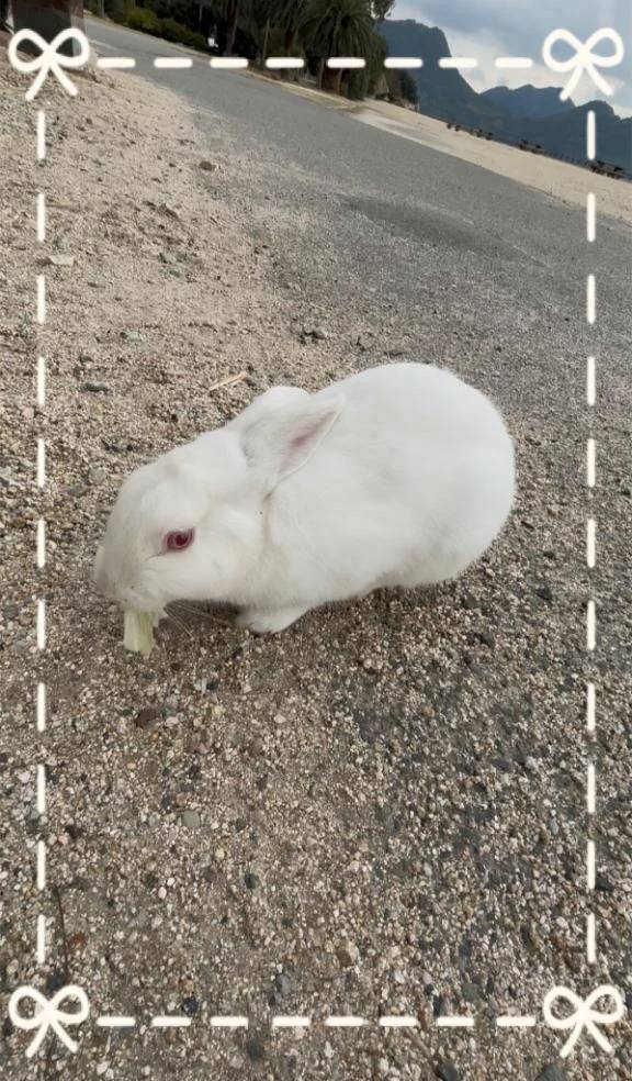 スケジュール🗓