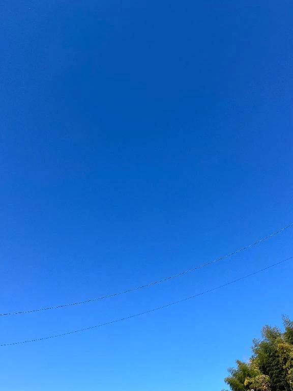 お誘い下さったお兄様