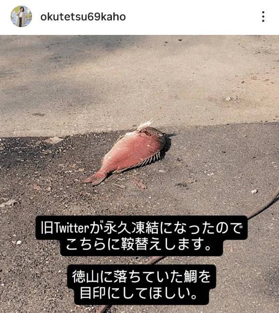 青い鳥はもういない。