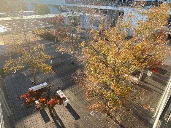 10日 新山口 T様