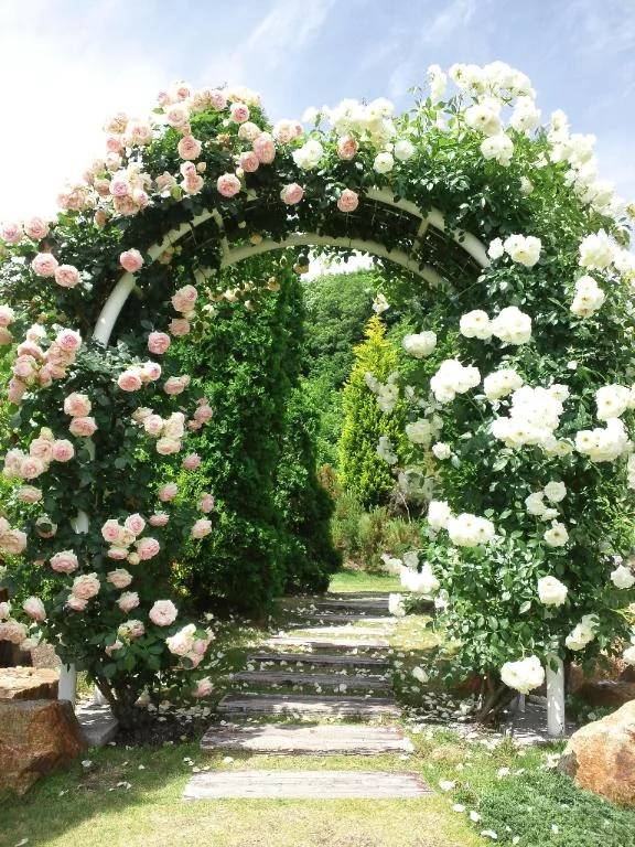 ※20日にご予約して下さってますしーくんへ。