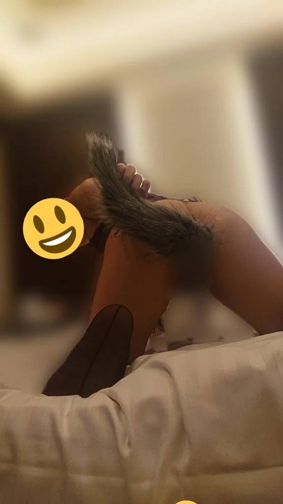 22日からは山口エリアへ！