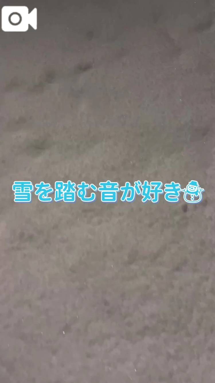 雪を踏む音が好き☃