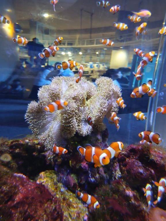 おはようございます♡