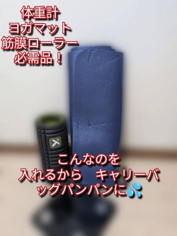 これを持ってくるから…