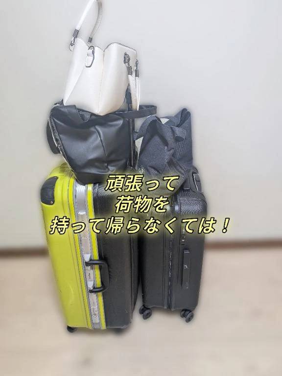 頑張って持って帰らなくては！