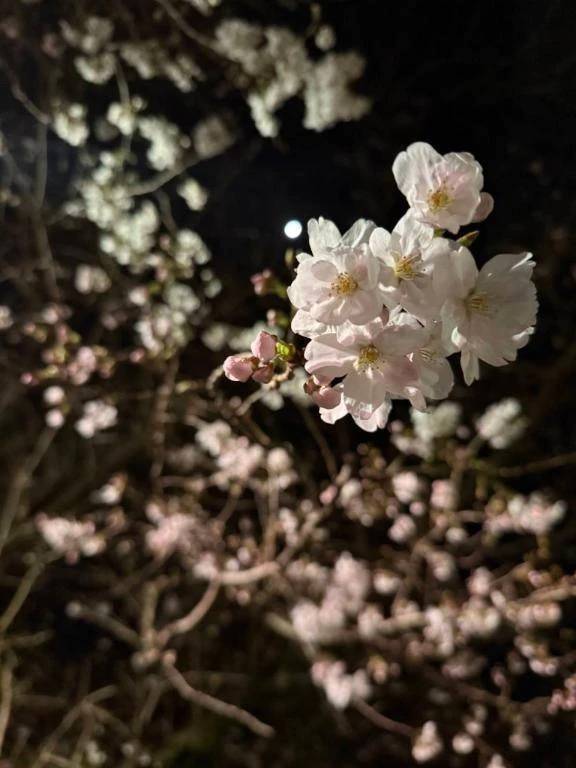 お疲れ様でした♡