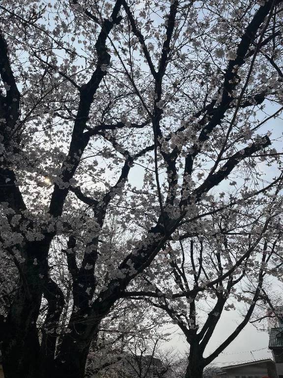 20時までお待ちしてます🙂‍↕️❤️