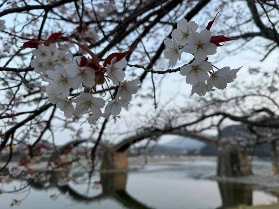 おはようございます♡