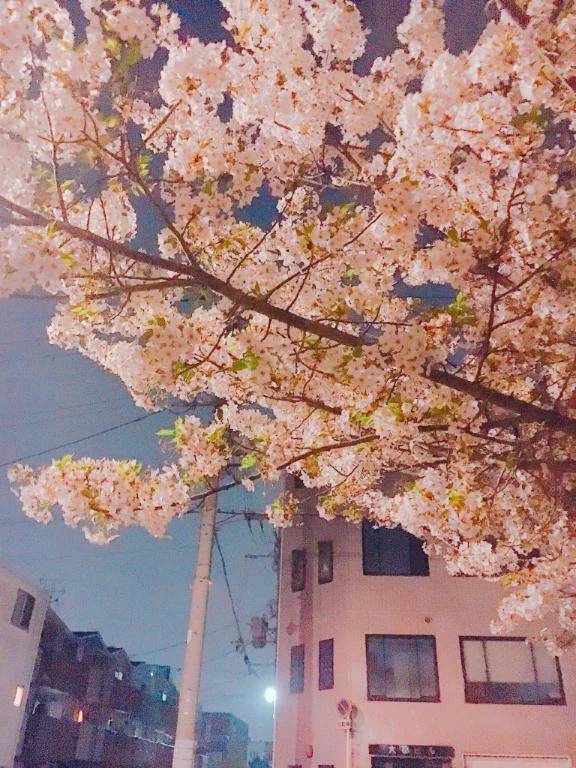 ヌクヌクしたいヨ♡♡♡