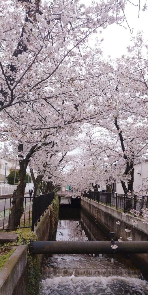 本日もよろしくお願いします(*^-^)