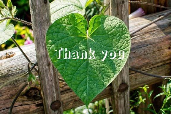 ご予約ありがとうございます(*- -)(*_ _)ﾍﾟｺﾘ