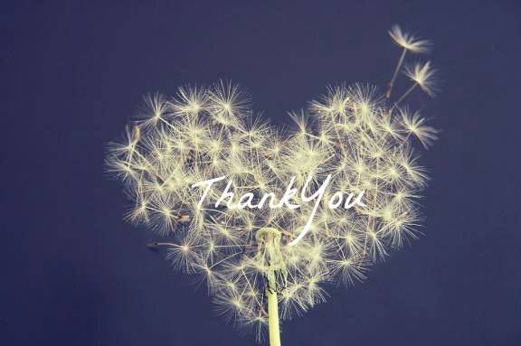 ご予約ありがとうございます