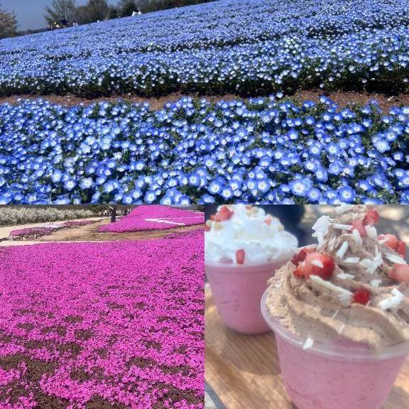 M  しゃん　　お礼