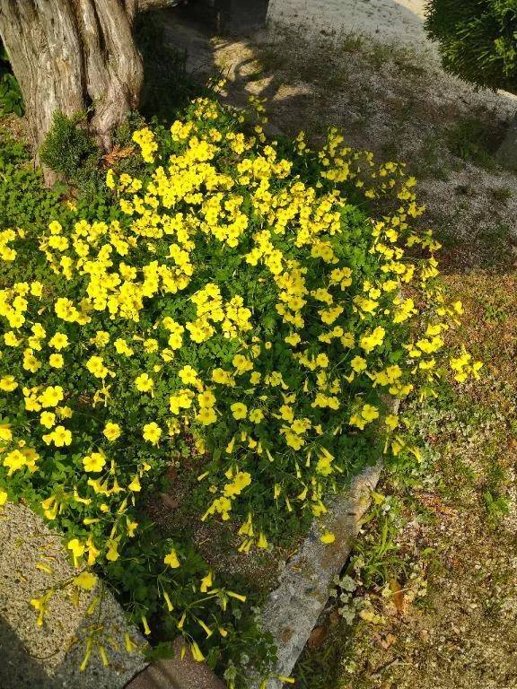 新山口駅付近で待機してますよ〜(⁠◍⁠•⁠ᴗ⁠•⁠◍⁠)⁠❤