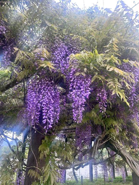 Ｈ　様　　お礼