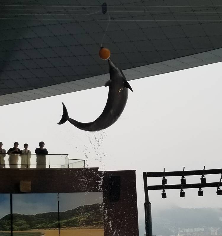 みさきさん(清楚な人妻セラピスト！！)