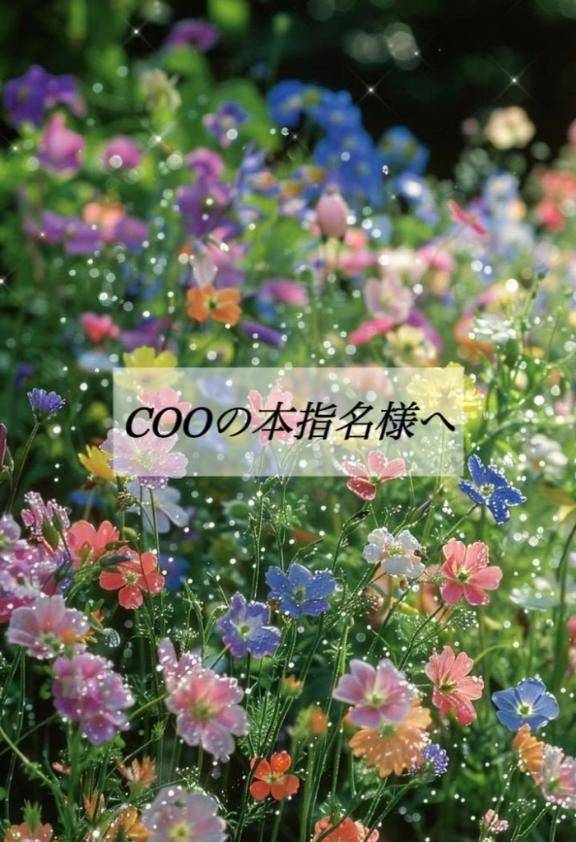 COOの本指名様へ?