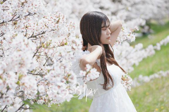 夢はもう見ないのかい？