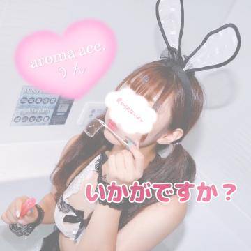 明日19:00~🐰💕