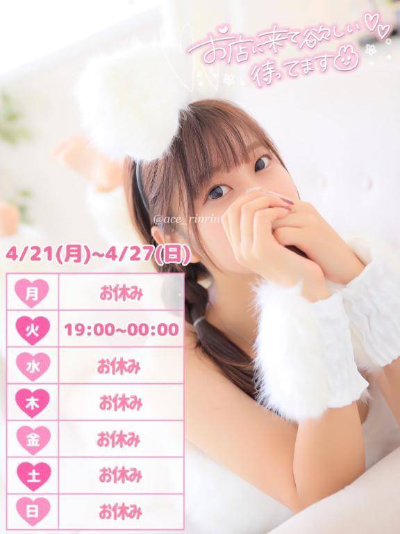 来週は....🐰💕